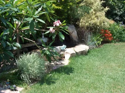 גינות לגלריה 26